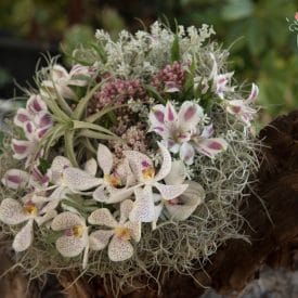 floral arrangement by Orit Hertz