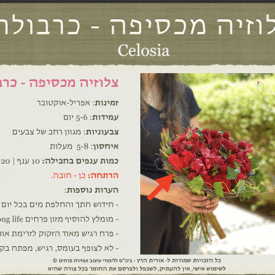 orit hertz floral deisgn school-digital book- cover1