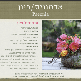 orit hertz floral deisgn school-digital book- cover3